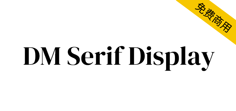 DM Serif Display