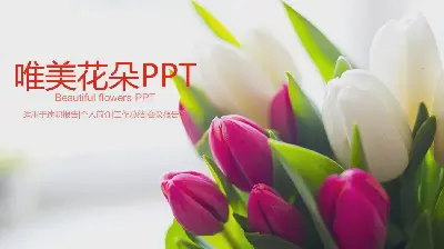 具有美麗的鬱金香花背景的通用PPT模板