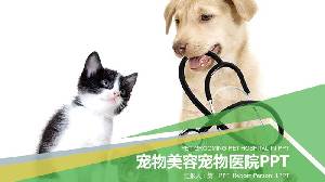 有小狗和小猫背景的宠物PPT模板