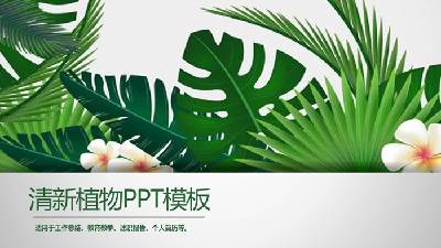 綠色寬葉植物背景PPT模板