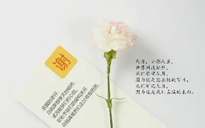 一组花和花的幻灯片背景图片