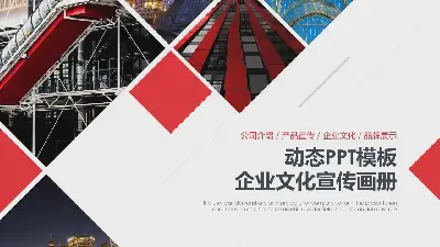 精緻企業文化介紹企業畫冊PPT模板