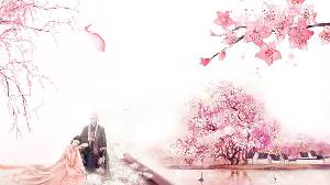 六張粉紅色美麗的桃花PPT背景圖片