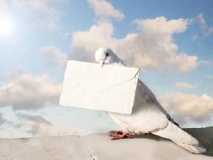 白色鴿子拿著信封的PPT背景圖片