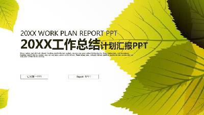 工作總結計劃PPT模板與精緻的樹葉背景