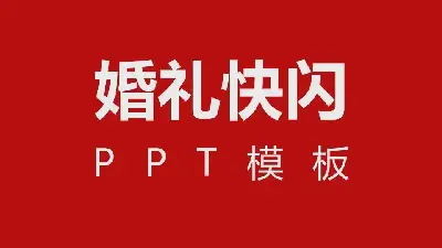 婚礼快闪ppt模板