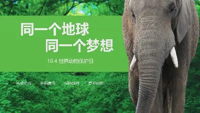 以森林大象為背景的世界動物日主題教室PPT模板