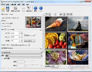 PPT製作輔助軟件工具：PhotoZoom Pro