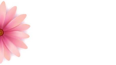 一组粉红色的美丽花瓣PPT背景图片