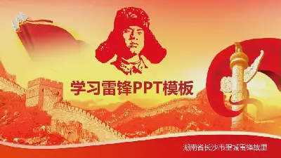 向雷鸟学习》PPT模板