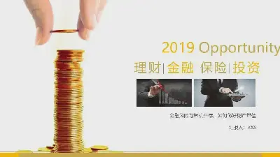 公司理财金融保险投资项目商务风格PPT模板