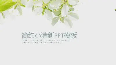 唯美清新PPT模板