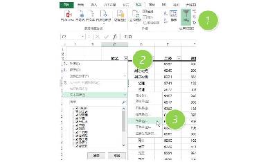 如何在Excel中过滤掉姓 "李 "的员工的数据？