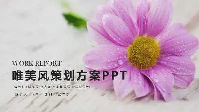 唯美清新PPT模板