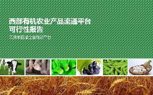 農業產品流通平臺分析報告PPT