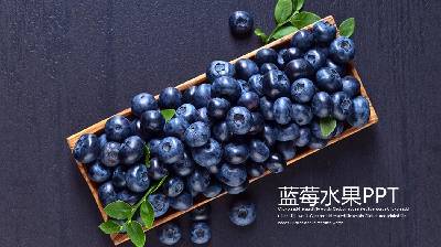紫色水果藍莓PPT模板