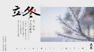 洒满冰霜的树枝背景冬季节日介绍PPT模板