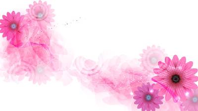 粉紅色的美麗花朵PPT背景圖片
