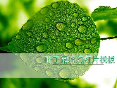 清新綠色葉子水滴背景的植物幻燈片模板