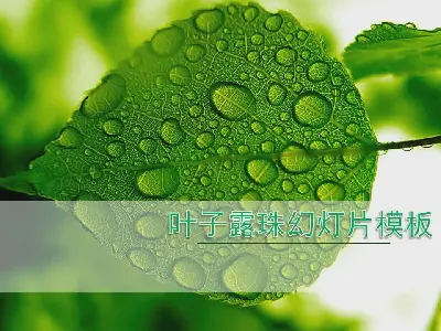 清新绿色叶子水滴背景的植物幻灯片模板