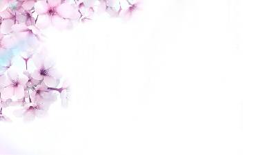 三张粉红色美丽的桃花PPT背景图片