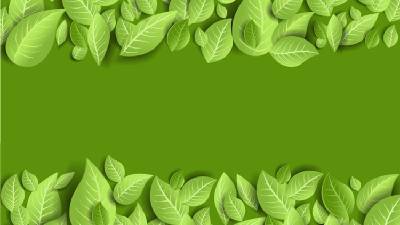 精致的绿色UI风格植物叶子PPT背景图片