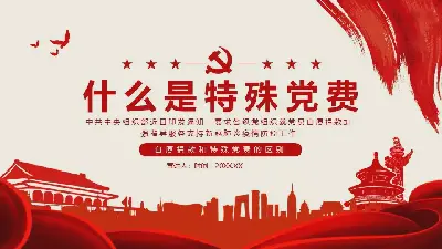 什么是特殊党费 PPT