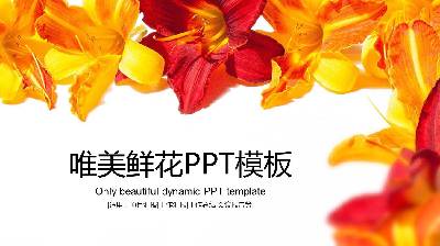 充滿活力的花卉背景美學PPT模板