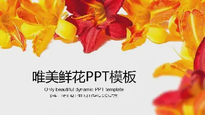 充满活力的花卉背景美学PPT模板