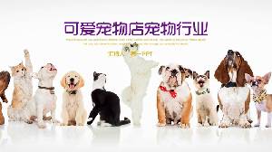 狗和猫排队的背景宠物PPT模板