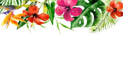 兩張彩色的水彩花卉幻燈片背景圖片
