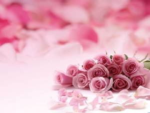 粉紅色浪漫的玫瑰花PPT背景圖片