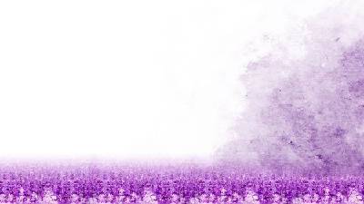 紫色美丽的丁香花PPT背景图片