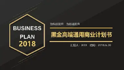 簡潔精緻黑金配色商業融資計劃書PPT模板