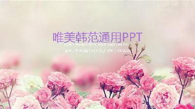 以粉色玫瑰为背景的韩国PPT模板