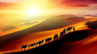 絲綢之路沙漠駱駝PPT背景圖片