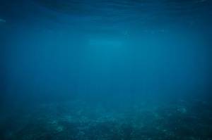 藍色海底世界簡單PPT背景圖片