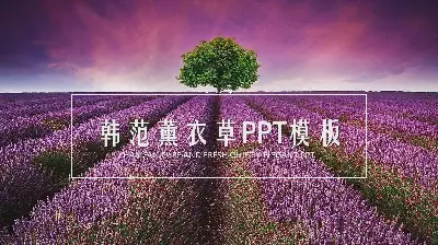 紫色薰衣草背景PPT模板