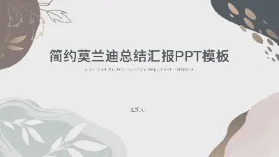 簡約莫蘭迪總結匯報PPT模板