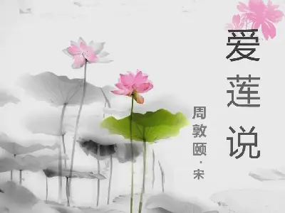 爱的莲花》PPT课件