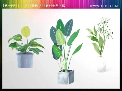 三个绿色水彩盆景植物PPT素材