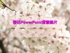 樱花PPT背景图片