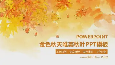 工作總結PPT模板