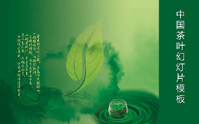 中國綠茶背景PPT模板