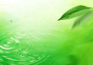 綠葉水滴波浪PPT背景圖片
