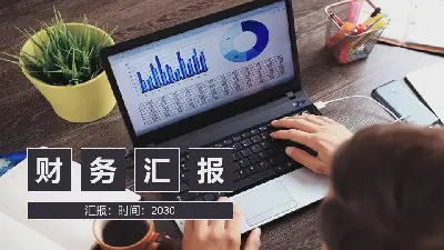 图片布局风格 财务分析报告PPT模板