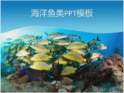 美麗的海底世界魚類PPT模板