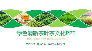 綠色茶園背景的茶文化PPT模板