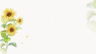 五张清新淡雅的水彩向阳花PPT背景图片