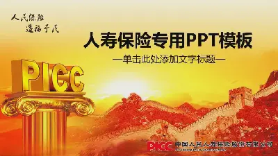 中国人寿保险公司PPT模板